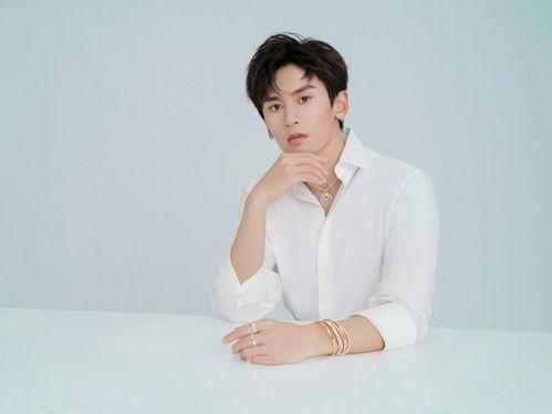 圈内爆料张哲瀚的视频,圈内爆料背后的真相揭秘  第2张